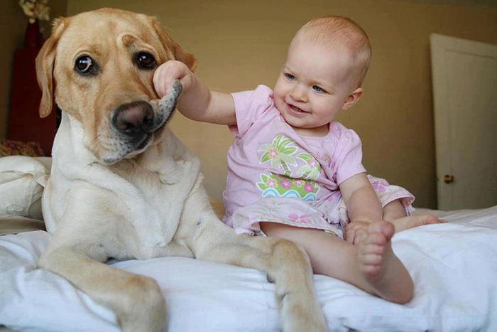 happy-funny-cute-baby-playing-with-dog-bed-indoors